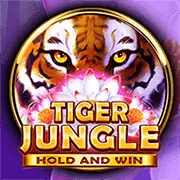 Hỗ trợ khách hàng 24/7 của Betvisa Bet
