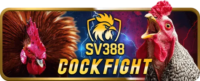 Tỷ lệ cược cạnh tranh và lợi nhuận cao tại Betvisa Bet